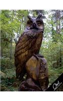 Owl Notebook Collection