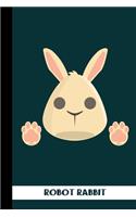 Robot Rabbit