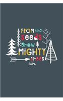 From Tiny Seeds Grow Mighty Slpa