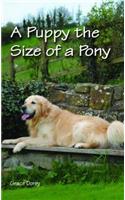 A Puppy the Size of a Pony