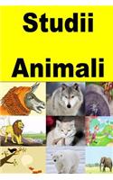 Studii Animali