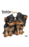 YORKSHIRE TERRIER PUPPIES 2020 MINI WALL