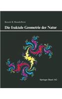 Die Fraktale Geometrie Der Natur