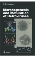 Morphogenesis and Maturation of Retroviruses