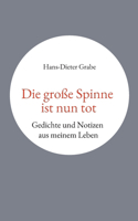 große Spinne ist nun tot