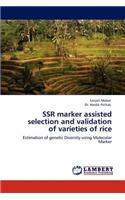 Ssr Marker Assisted Selection and Validation of Varieties of Rice
