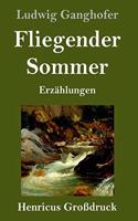 Fliegender Sommer (Großdruck): Erzählungen