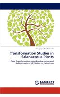 Transformation Studies in Solanaceous Plants