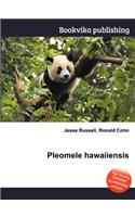 Pleomele Hawaiiensis: (English)
