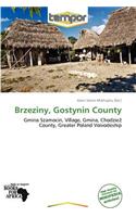 Brzeziny, Gostynin County