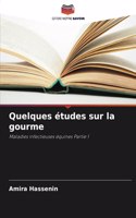 Quelques études sur la gourme