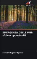 Emergenza Delle PMI: sfide e opportunità