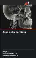 Asse della cerniera