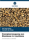 Energieerzeugung aus Biomasse in Louisiana