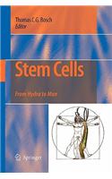 Stem Cells