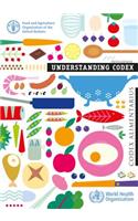 Understanding Codex