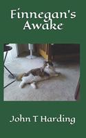 Finnegan's Awake