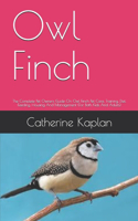 Owl Finch