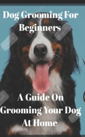 Dog grooming for beginners