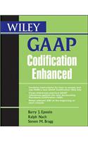 Wiley GAAP Codification Enhanced