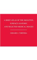 A Brief Atlas of the Skeleton Surface Anatomy, and Selected Medical Images