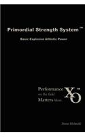 Primordial Strength System