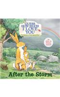 After the Storm