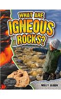 What Are Igneous Rocks?: (Let's Rock!)
