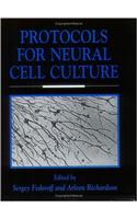 Protocols for Neural Cell Culture