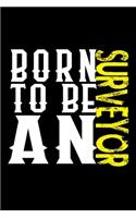 Born to be a surveyor