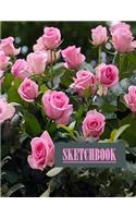 Roses Sketchbook