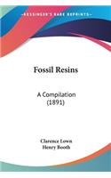 Fossil Resins