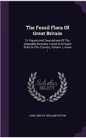 The Fossil Flora of Great Britain: Or Figures and Descriptions of the Vegetable Romains Found in a Fossil State in This Country, Volume 1, Issue 1