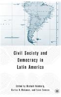 Civil Society and Democracy in Latin America