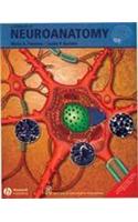 A Textbook Of Neuroanatomy
