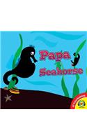 Papa Seahorse's Search
