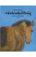 The Unwanted Pony