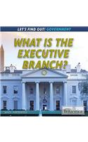 What Is the Executive Branch?