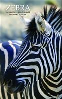 Zebra 5 x 8 Weekly 2020 Planner