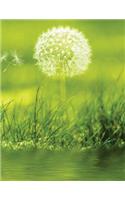 Dandelion Green Sketchbook: Blank Art Sketch Pad Journal Notebook(44 Go Green 150 Sketch)