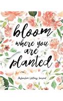 Bloom Where You Are Planted