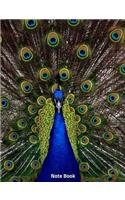 Note Book: Peacock in Full Display, Notebook, Wide Lined, 200 Paged 7.44 X 9.69, Peacocks Display