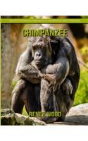 Chimpanzee