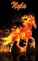 Horse Passion