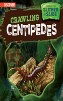 Crawling Centipedes: (Animals That Slither and Slide)