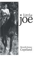 Little Joe