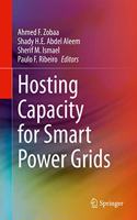 Hosting Capacity for Smart Power Grids