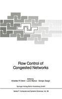 Flow Control of Congested Networks