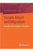 Soziale Arbeit und Migration: Konzepte und Lösungen im Vergleich