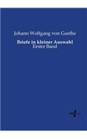 Briefe in kleiner Auswahl: Erster Band